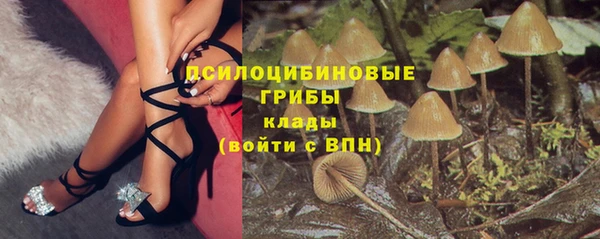 apvp Нефтегорск