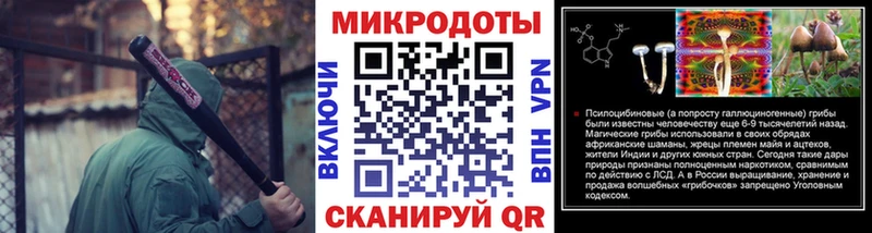 Галлюциногенные грибы Psilocybine cubensis  Купить  Ардон 
